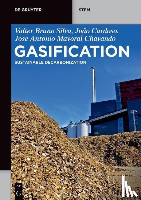 Silva, Valter Bruno, Cardoso, Joao, Chavando, Antonio - Gasification