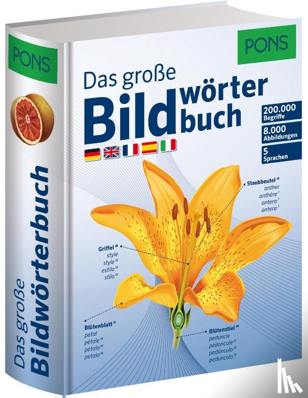  - PONS Das große Bildwörterbuch