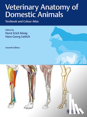 - Veterinary Anatomy of Domestic Animals