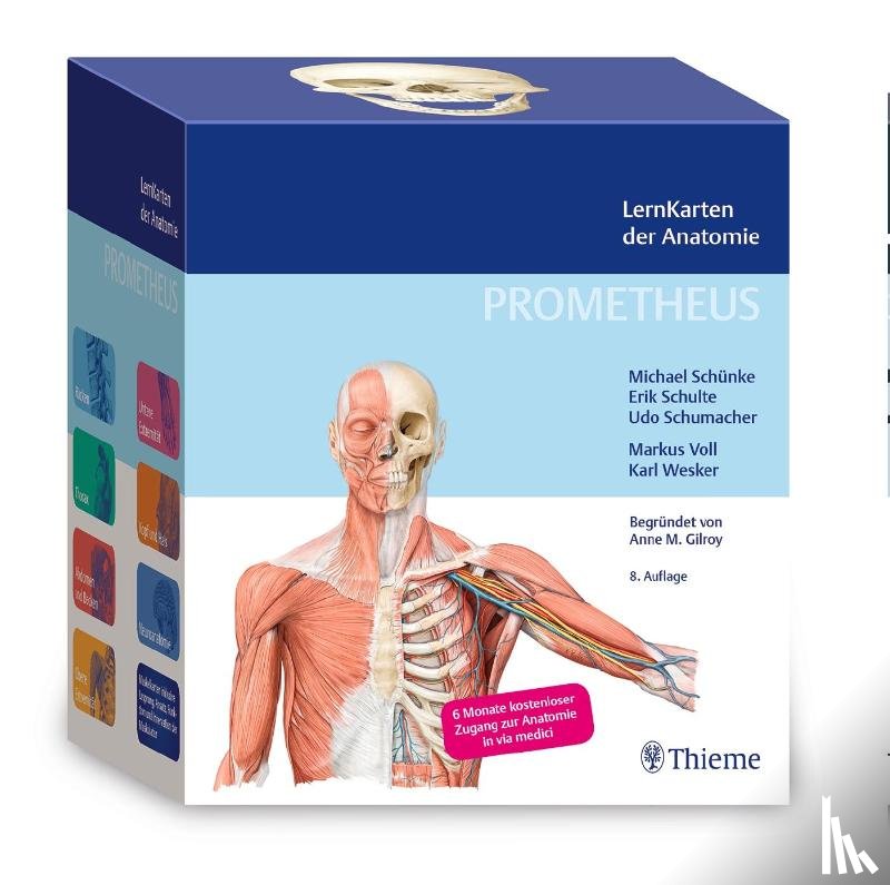 Schünke, Michael, Schulte, Erik, Schumacher, Udo - PROMETHEUS LernKarten der Anatomie