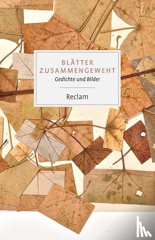  - Blätter zusammengeweht