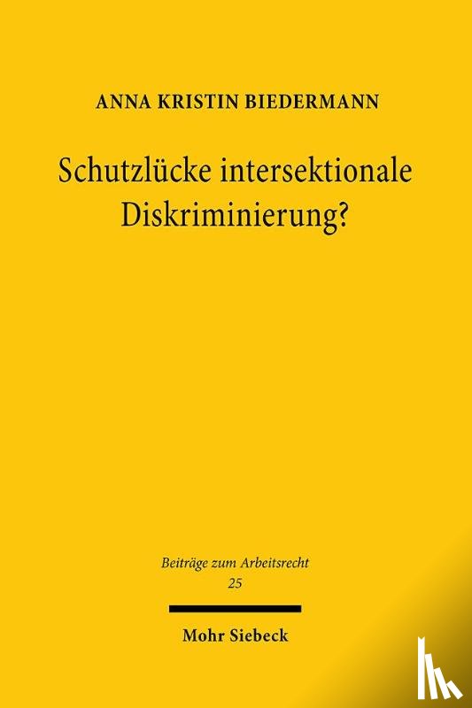 Biedermann, Anna Kristin - Schutzlücke intersektionale Diskriminierung?