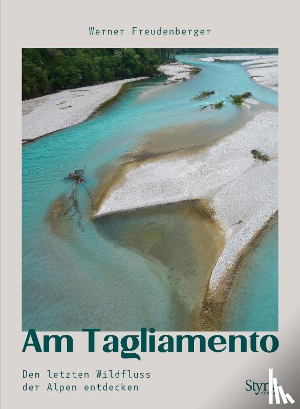 Freudenberger, Werner - Am Tagliamento