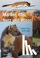 Marchesi, Paul, Mermod, Claude, Salzmann, Hans C. - Marder, Iltis, Nerz und Wiesel