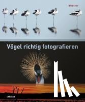 Coster, Bill - Vögel richtig fotografieren