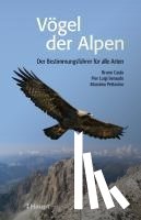 Caula, Bruno, Beraudo, Pier Luigi, Pettavino, Massimo - Vögel der Alpen