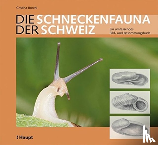 Boschi, Cristina - DIE SCHNECKENFAUNA DER SCHWEIZ
