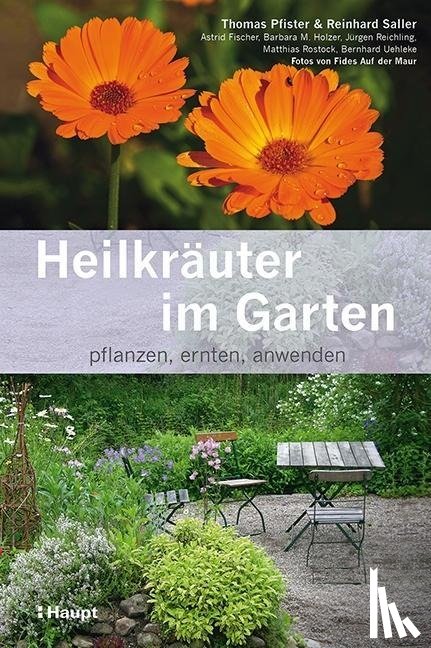 Pfister, Thomas, Uehleke, Bernhard, Saller, Reinhard, Fischer, Astrid - Heilkräuter im Garten