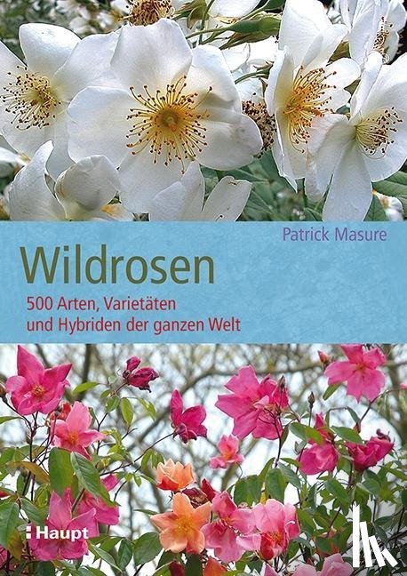 Masure, Patrick - Wildrosen