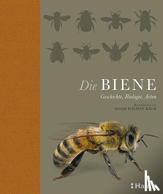  - Die Biene