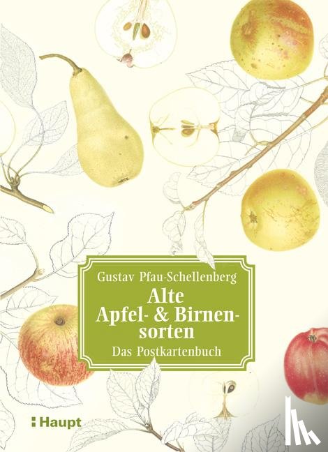 Pfau-Schellenberg, Gustav - Alte Apfel- & Birnensorten - Das Postkartenbuch