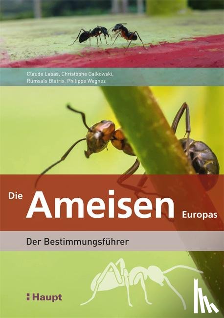 Lebas, Claude - Die Ameisen Europas
