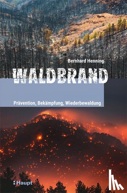 Henning, Bernhard - Waldbrand