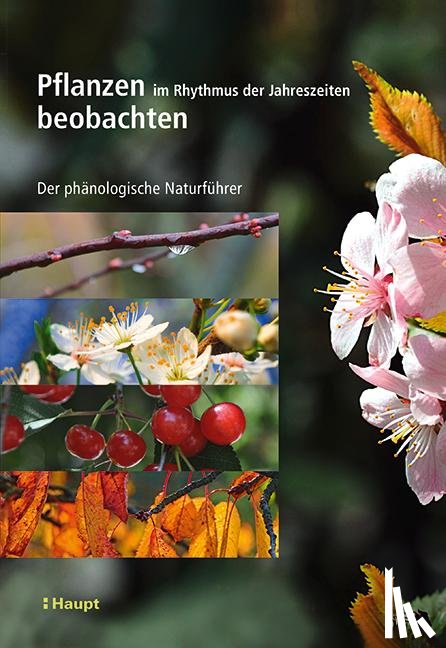 Badeau, Vincent, Bonhomme, Marc, Bonne, Fabrice, Carré, Jennifer - Pflanzen im Rhythmus der Jahreszeiten beobachten