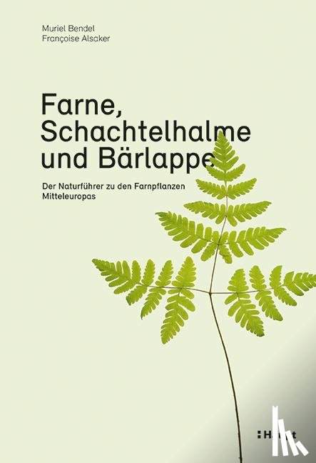Bendel, Muriel, Alsaker, Françoise - Farne, Schachtelhalme und Bärlappe
