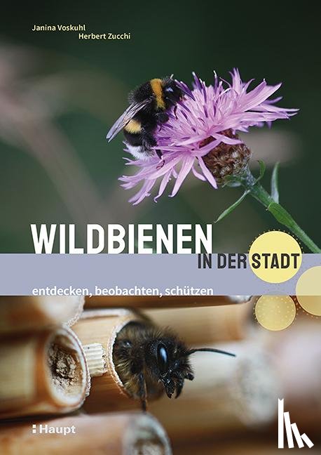 Voskuhl, Janina, Zucchi, Herbert - Wildbienen in der Stadt