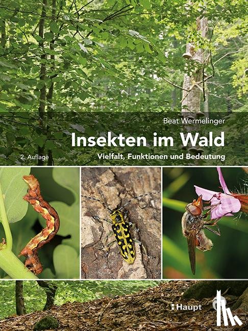 Wermelinger, Beat - Insekten im Wald