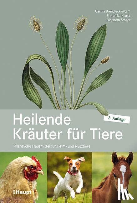 Brendieck-Worm, Cäcilia, Stöger, Elisabeth, Klarer, Franziska - Heilende Kräuter für Tiere
