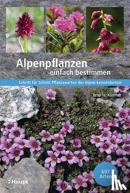 Kammer, Peter M. - Alpenpflanzen einfach bestimmen