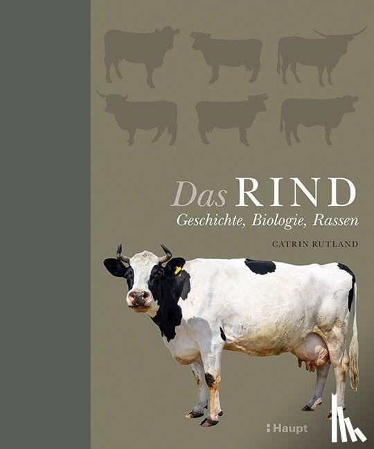 Rutland, Catrin - Das Rind