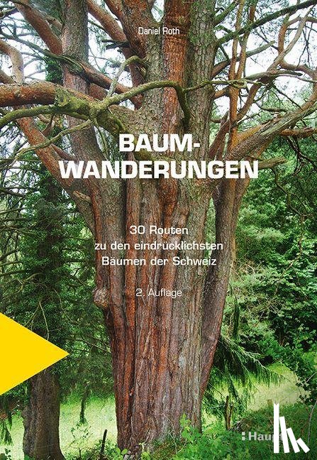 Roth, Daniel - Baumwanderungen