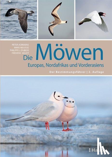 Adriaens, Peter, Muusse, Mars, Dubois, Philippe J., Jiguet, Frédéric - Die Möwen Europas, Nordafrikas und Vorderasiens