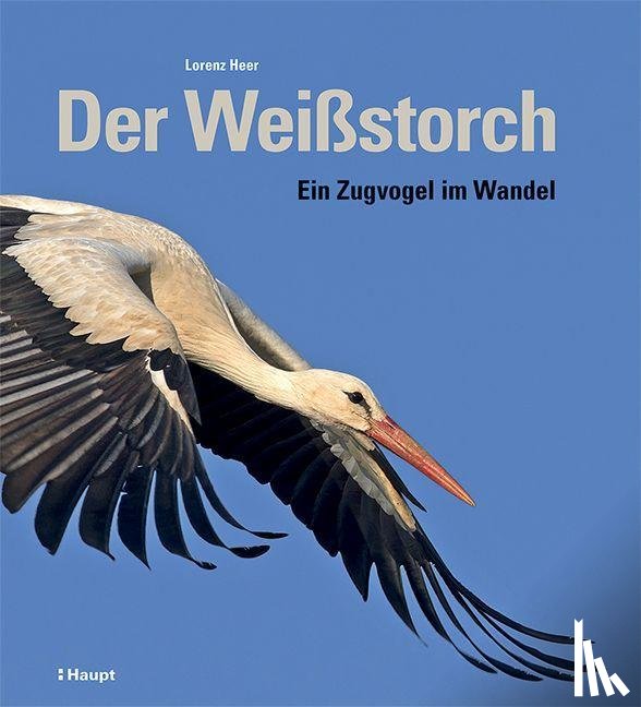 Heer, Lorenz - Der Weißstorch