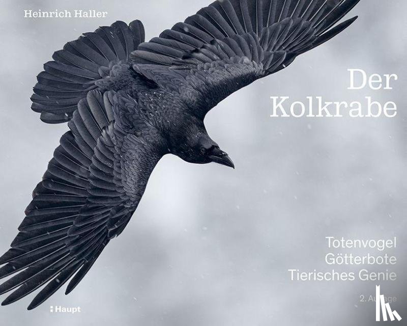 Haller, Heinrich - Der Kolkrabe - Totenvogel, Götterbote, tierisches Genie