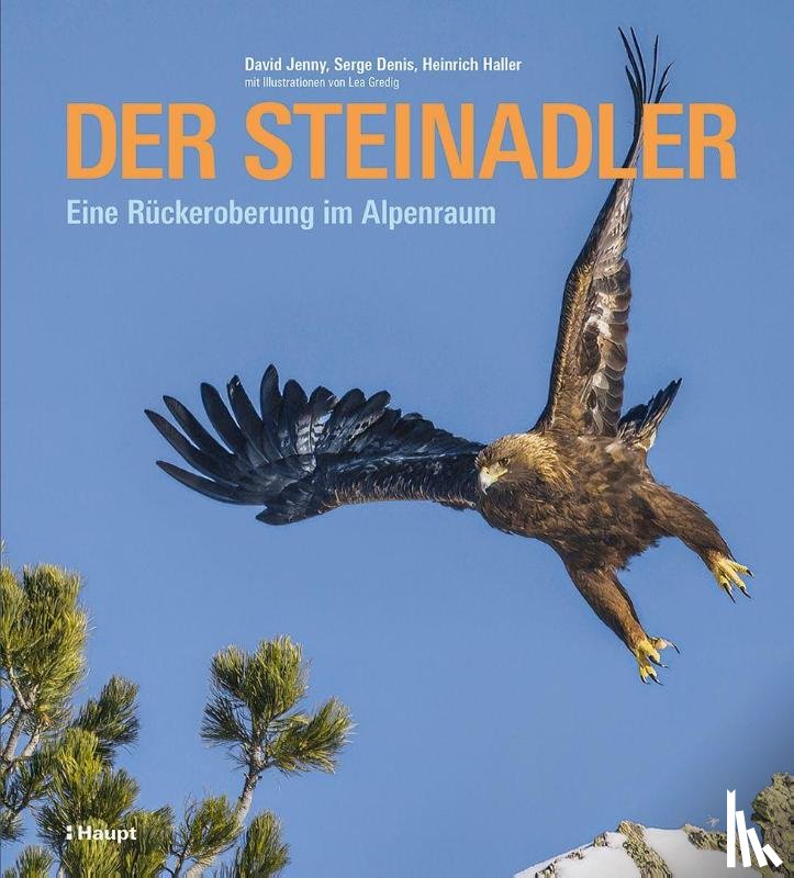 Jenny, David, Denis, Serge, Haller, Heinrich - Der Steinadler