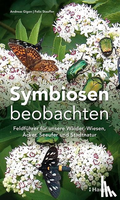 Gigon, Andreas, Stauffer, Felix - Symbiosen beobachten