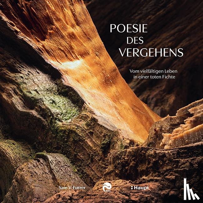 Furrer, Sam V., Wsl - Poesie des Vergehens