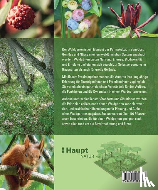 Kranz, Volker, Deemter, Frederik - Praxisbuch Waldgarten