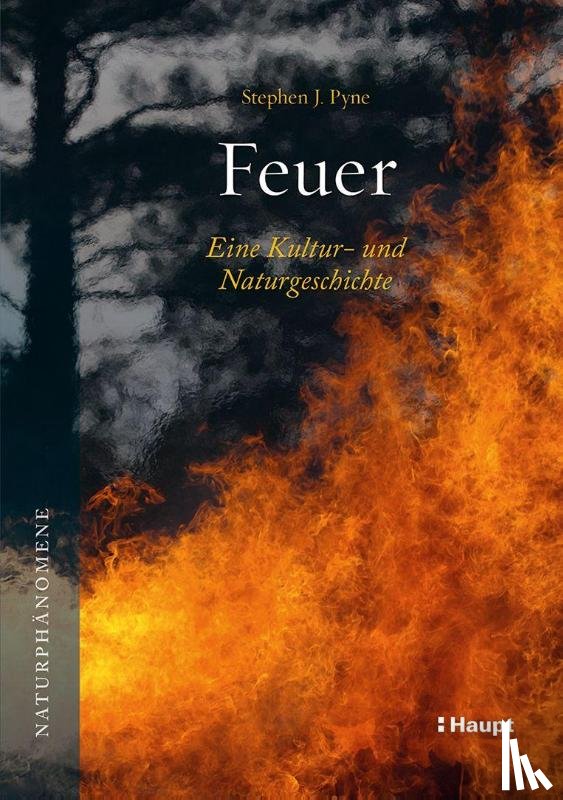 Pyne, Stephen J. - Feuer