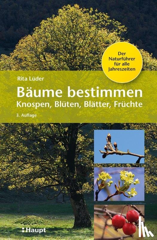 Lüder, Rita - Bäume bestimmen - Knospen, Blüten, Blätter, Früchte