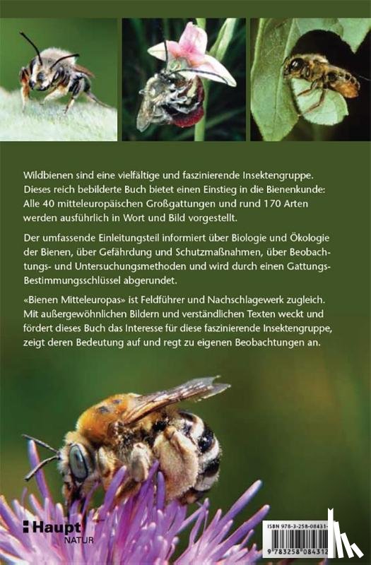 Amiet, Felix, Krebs, Albert, Müller, Andreas - Bienen Mitteleuropas