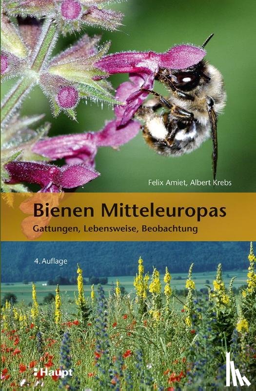 Amiet, Felix, Krebs, Albert, Müller, Andreas - Bienen Mitteleuropas