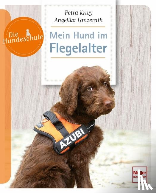Lanzerath, Angelika, Krivy, Petra - Mein Hund im Flegelalter