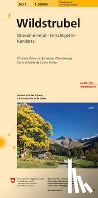  - Swisstopo 1 : 50 000 Wildstrubel