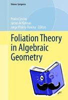  - Foliation Theory in Algebraic Geometry
