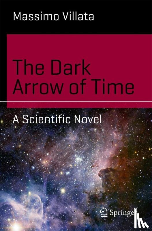 Villata, Massimo - The Dark Arrow of Time