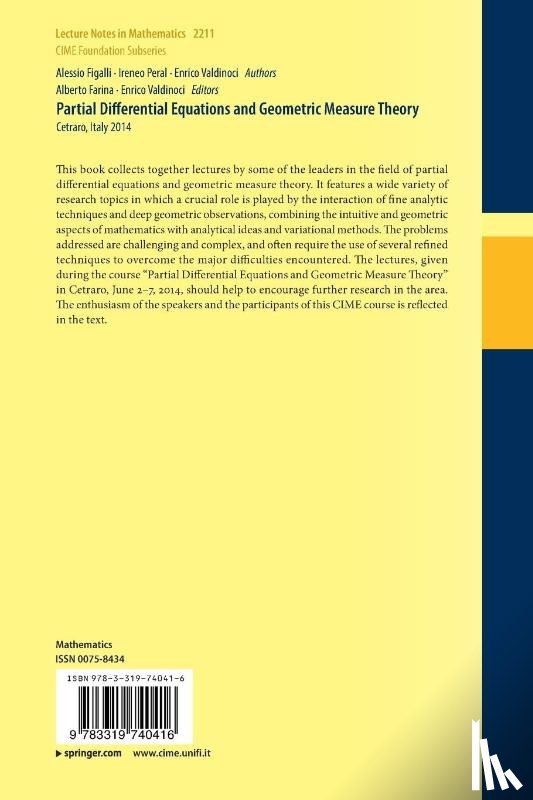 Figalli, Alessio, Peral, Ireneo, Valdinoci, Enrico - Partial Differential Equations and Geometric Measure Theory