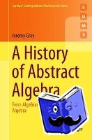 Gray, Jeremy - A History of Abstract Algebra - From Algebraic Equations to Modern Algebra