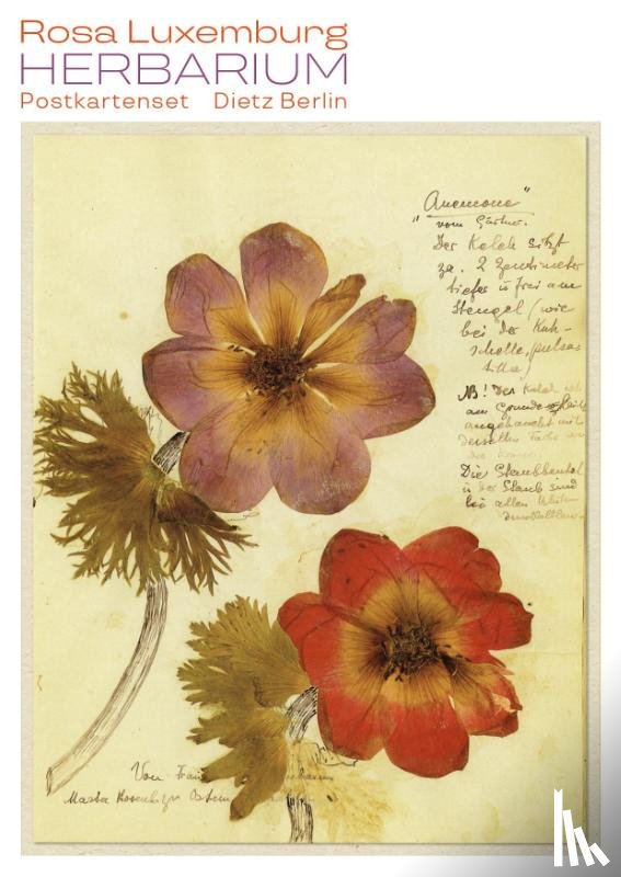 Luxemburg, Rosa - Herbarium Postkartenset