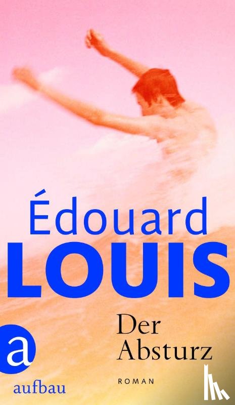 Louis, Édouard - Der Absturz