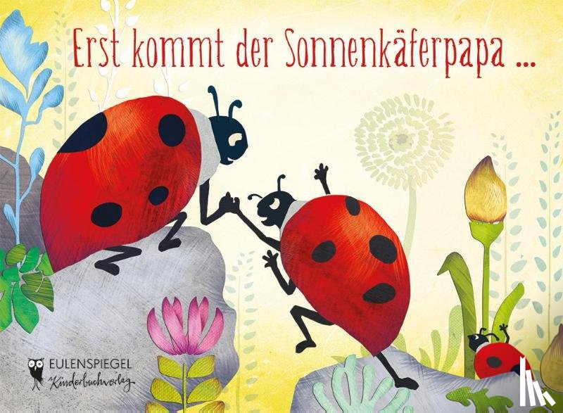  - Erst kommt der Sonnenkäferpapa ...
