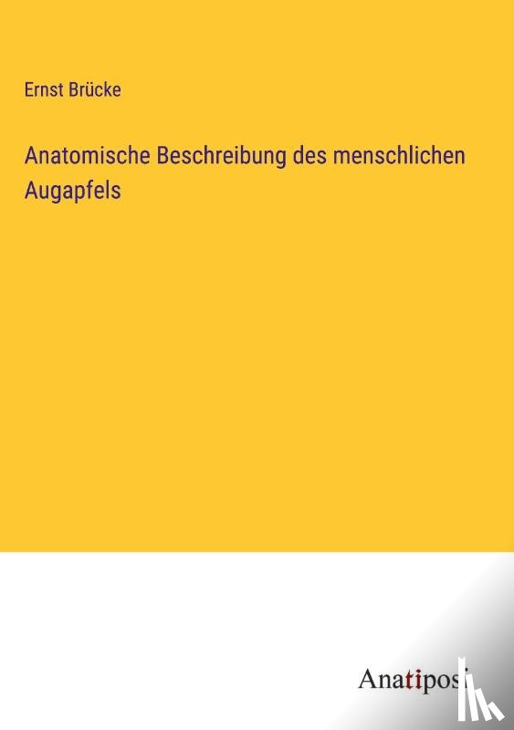 Brücke, Ernst - Anatomische Beschreibung des menschlichen Augapfels