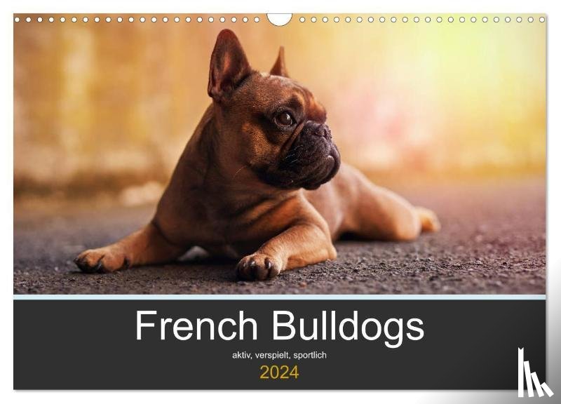 Block, Janina - French Bulldog aktiv, verspielt, sportlich (Wandkalender 2024 DIN A3 quer), CALVENDO Monatskalender
