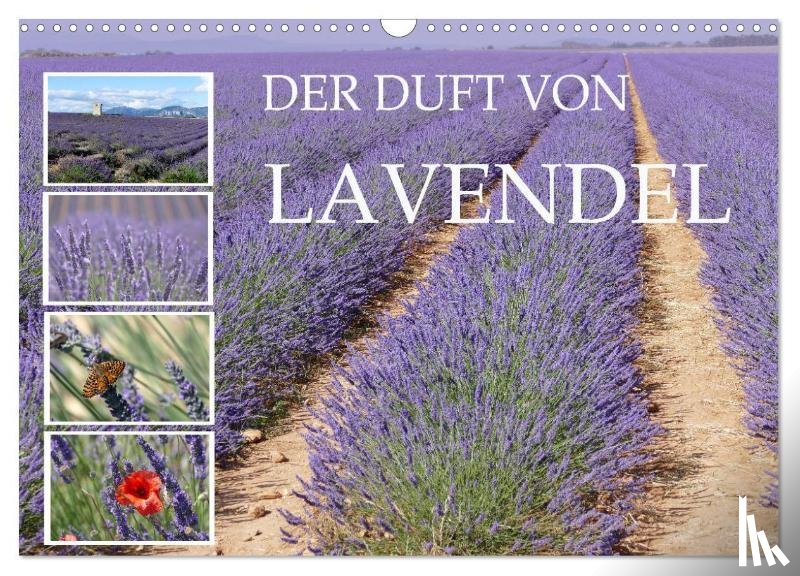 B-B Müller, Christine - Der Duft von Lavendel (Wandkalender 2025 DIN A3 quer), CALVENDO Monatskalender