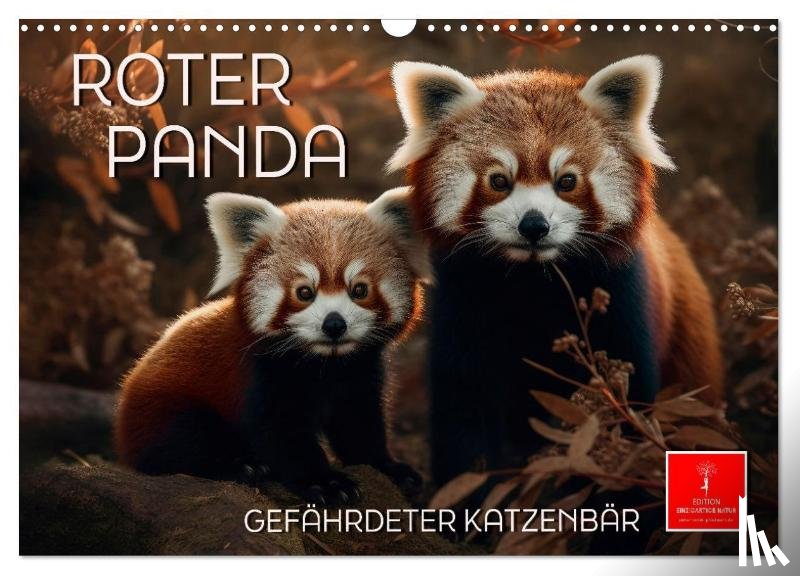 Roder, Peter - Roter Panda - gefährdeter Katzenbär (Wandkalender 2025 DIN A3 quer), CALVENDO Monatskalender