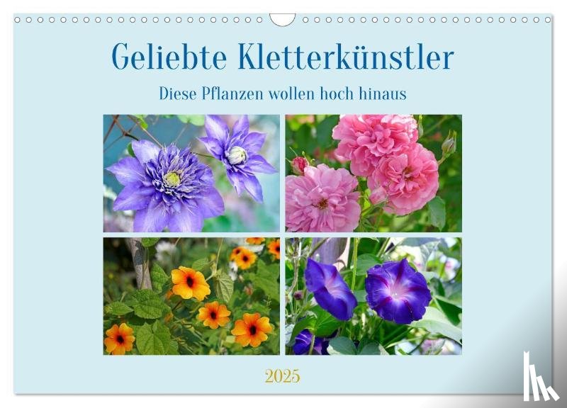 B-B Müller, Christine - Geliebte Kletterkünstler (Wandkalender 2025 DIN A3 quer), CALVENDO Monatskalender